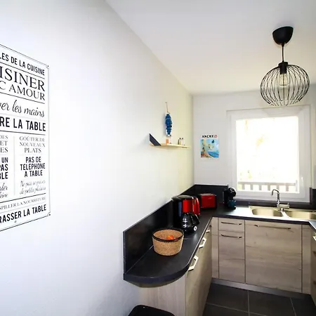 Lägenhet D'une A Sur Mer A 500 M De La Plage Avec Vue Sur La Mer Piscine Partagee Et Jardin Amenage *